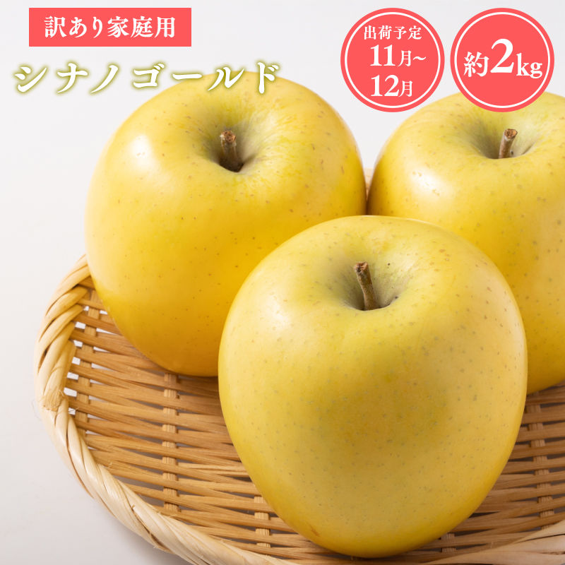 ≪令和8年産先行受付≫家庭用シナノゴールド約2kg【青森県 平川市 山内ファーム】家庭用 平川市産 青森りんご りんご リンゴ 林檎 シナノ ゴールド お取り寄せ 先行予約 果物 くだもの フルーツ 