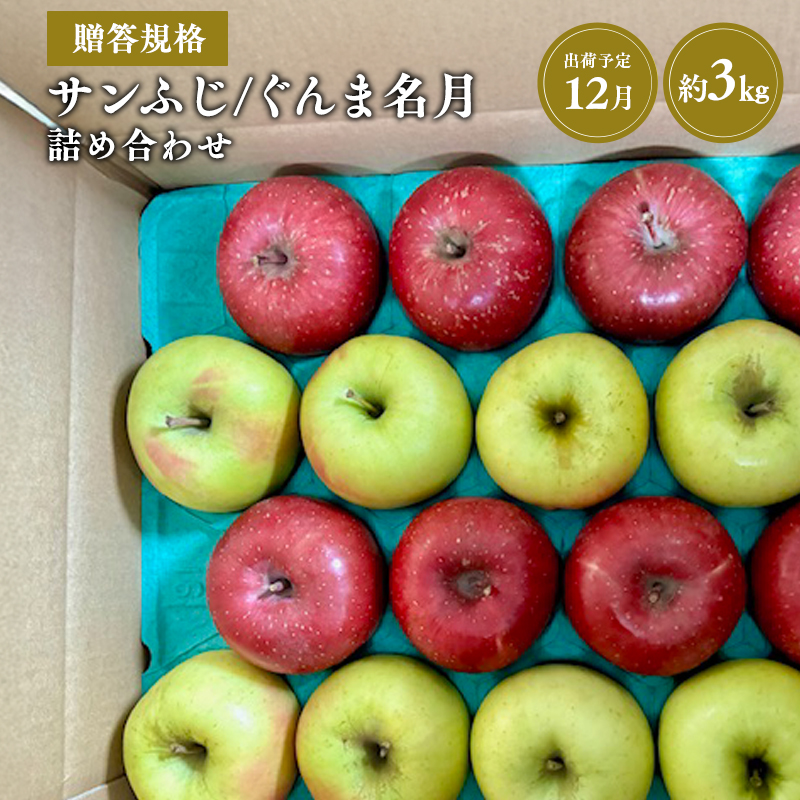 【令和7年産受付】贈答用 サンふじ/ぐんま名月 詰め合わせ約3㎏【青森県平川市産・青森りんご】