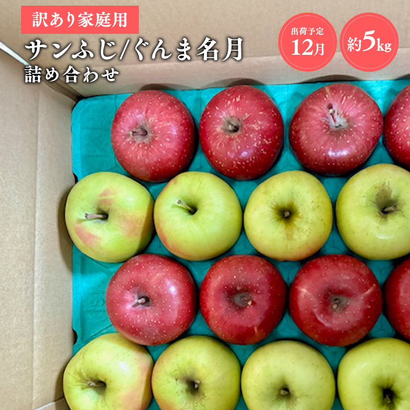 【令和7年産受付】家庭用 サンふじ/ぐんま名月 詰め合わせ約5㎏【青森県平川市産・青森りんご】