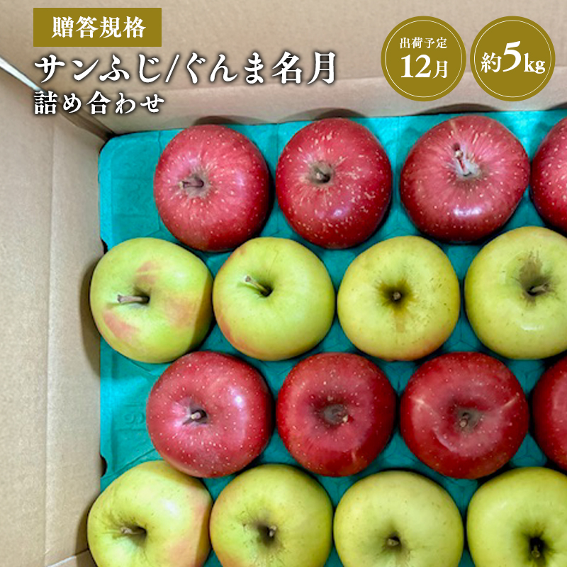 【令和7年産受付】贈答用 サンふじ/ぐんま名月 詰め合わせ約5㎏【青森県平川市産・青森りんご】