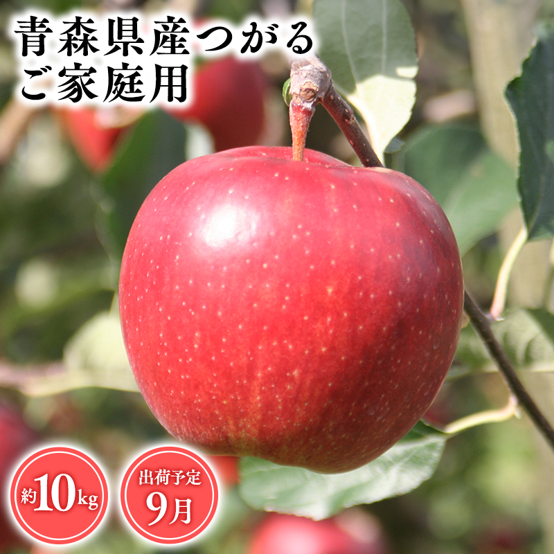 2025年産9月発送　【訳あり】家庭用つがる10ｋｇ　【そと川りんご園・9月・青森県産・平川市・りんご・つがる・10ｋｇ・訳あり・家庭用】
