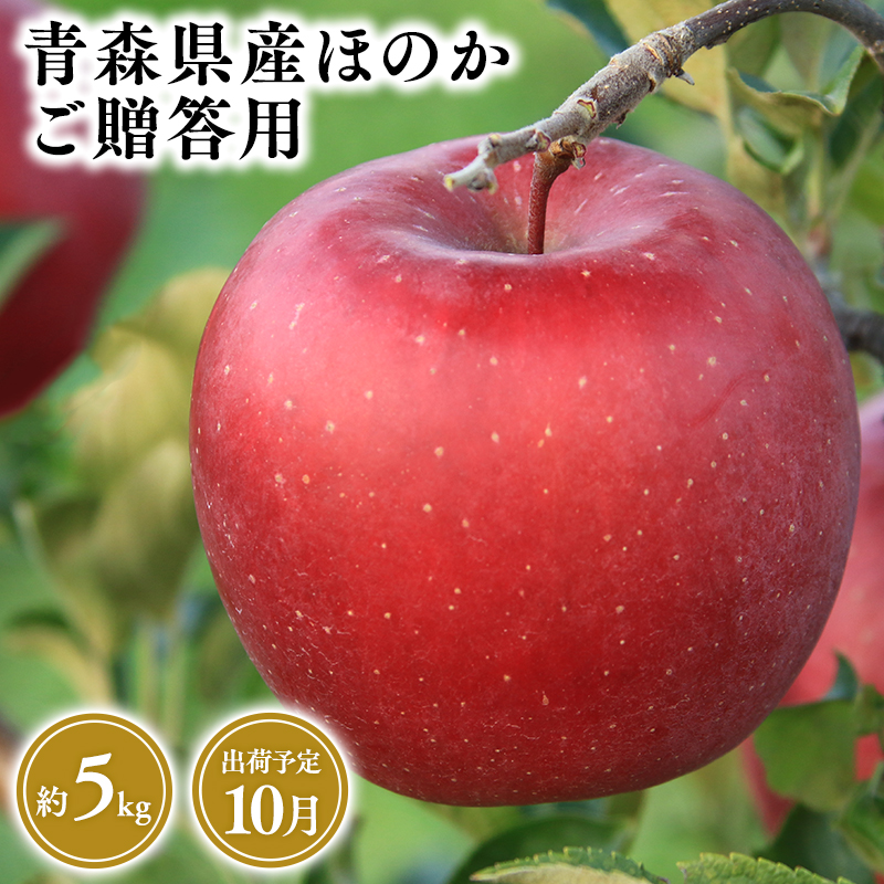 2025年産１０月発送　贈答用ほのか5ｋｇ　【そと川りんご園・１０月・青森県産・平川市・りんご・ほのか・5ｋｇ・贈答用】