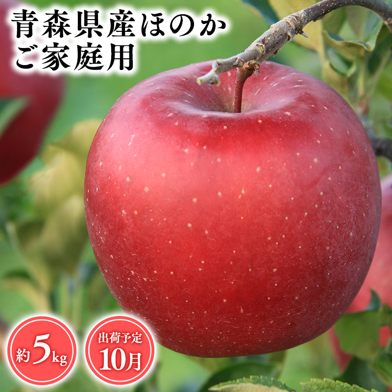 2025年産１０月発送　【訳あり】家庭用ほのか5ｋｇ　【そと川りんご園・１０月・青森県産・平川市・りんご・ほのか・5ｋｇ・訳あり・家庭用】