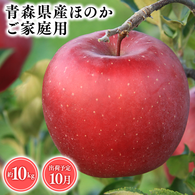 2025年産１０月発送　【訳あり】家庭用ほのか10ｋｇ　【そと川りんご園・１０月・青森県産・平川市・りんご・ほのか・10ｋｇ・訳あり・家庭用】
