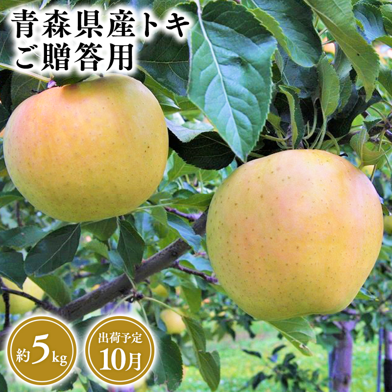 2025年産１０月発送　贈答用トキ5ｋｇ　【そと川りんご園・１０月・青森県産・平川市・りんご・トキ・5ｋｇ・贈答用】