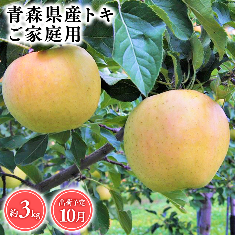 2025年産１０月発送　【訳あり】家庭用トキ3ｋｇ　【そと川りんご園・１０月・青森県産・平川市・りんご・トキ・3ｋｇ・訳あり・家庭用】