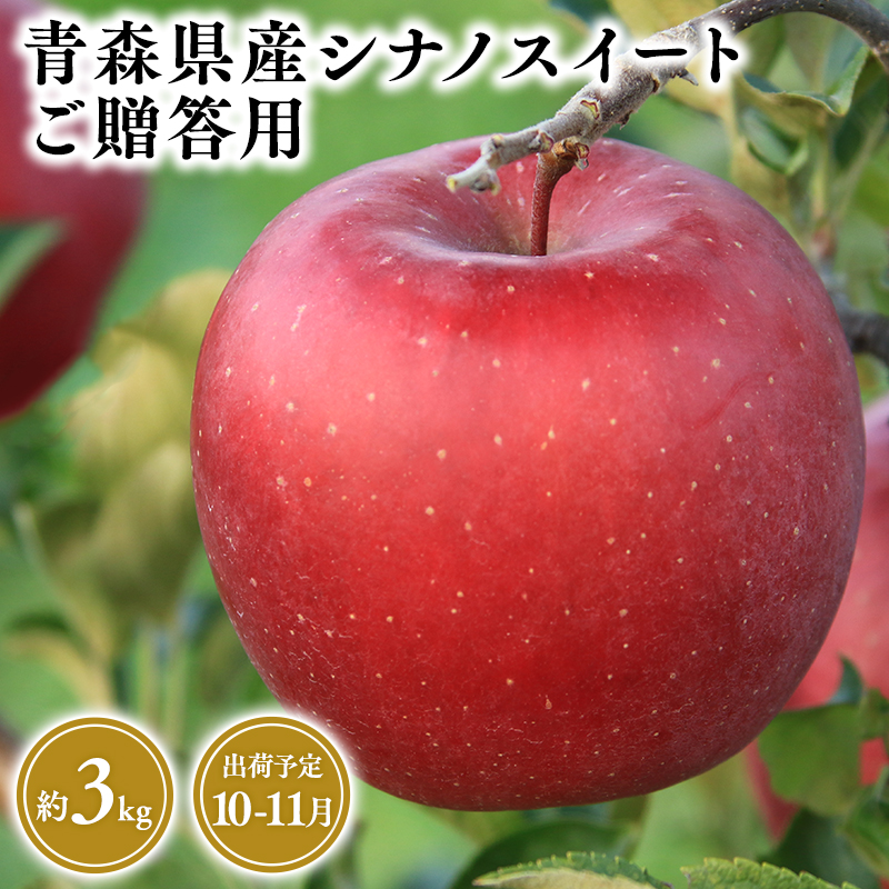 2025年産１０月・１１月発送　贈答用シナノスイート3ｋｇ　【そと川りんご園・１０月・１１月・青森県産・平川市・りんご・シナノスイート・3ｋｇ・贈答用】