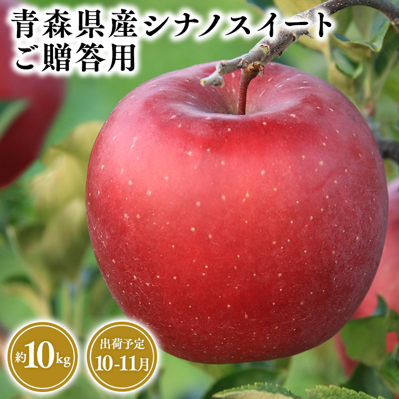 2025年産１０月・１１月発送　贈答用シナノスイート10ｋｇ　【そと川りんご園・１０月・１１月・青森県産・平川市・りんご・シナノスイート・10ｋｇ・贈答用】