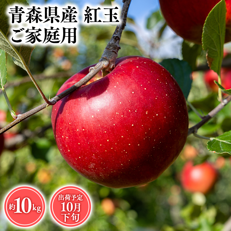 2025年産１０月発送　【訳あり】家庭用紅玉10ｋｇ　【そと川りんご園・１０月・青森県産・平川市・りんご・紅玉・10ｋｇ・訳あり・家庭用】