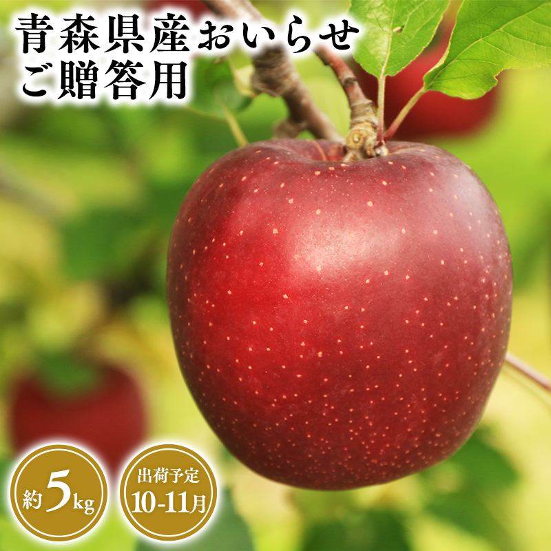 2025年産１０月・１１月発送　贈答用おいらせ5ｋｇ　【そと川りんご園・１０月・１１月・青森県産・平川市・りんご・おいらせ・5ｋｇ・贈答用】