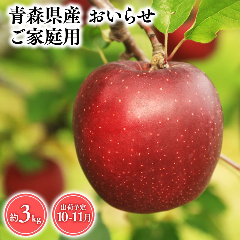 2025年産 １０月・１１月発送　【訳あり】家庭用おいらせ3ｋｇ　【そと川りんご園・１０月・１１月・青森県産・平川市・りんご・おいらせ・3ｋｇ・訳あり・家庭用】