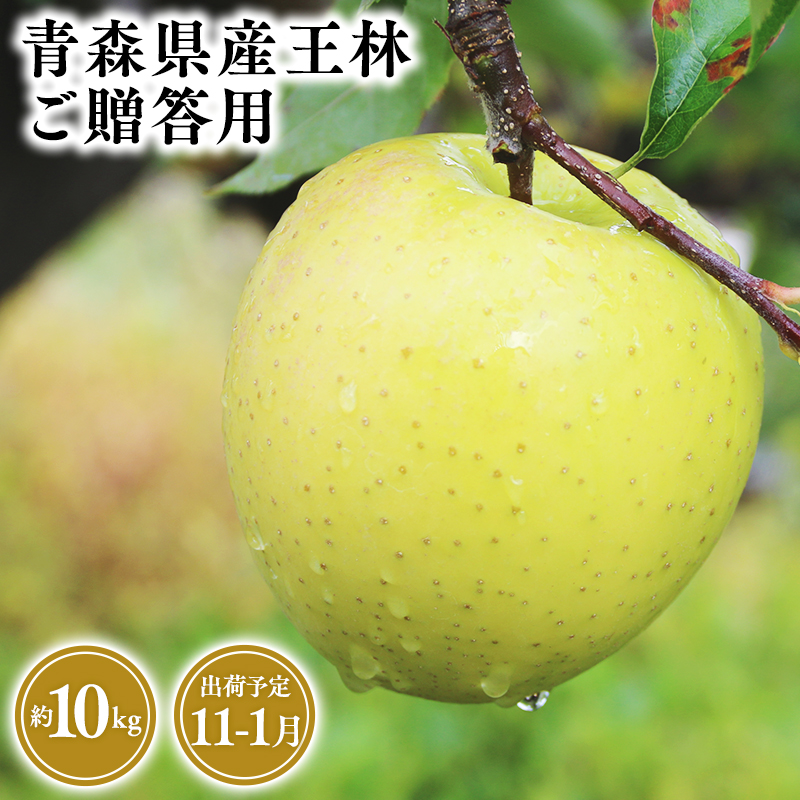 2025年産 １１月～１月発送　贈答用王林10ｋｇ　【そと川りんご園・１１月・１２月・１月・青森県産・平川市・りんご・王林・10ｋｇ・贈答用】