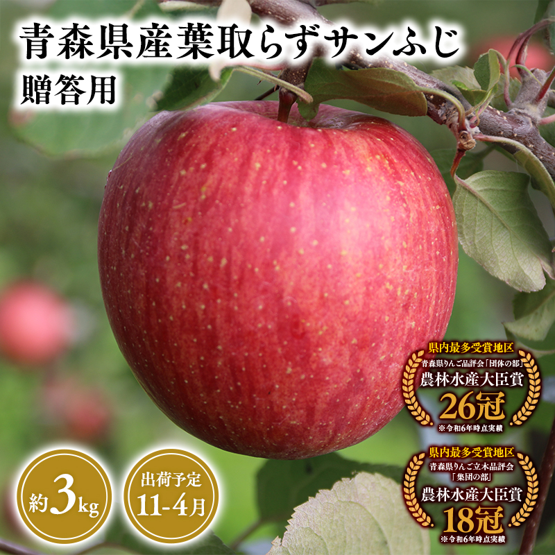 2025年産１１月～４月発送　贈答用葉とらずサンふじ3ｋｇ　【そと川りんご園・１１月・１２月・１月・２月・３月・４月・青森県産・平川市・りんご・葉とらずサンふじ・3ｋｇ・贈答用】