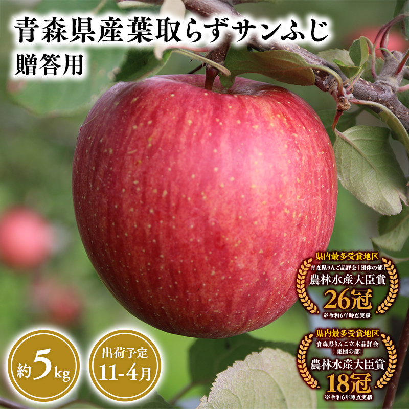 2025年産１１月～４月発送　贈答用葉とらずサンふじ5ｋｇ　【そと川りんご園・１１月・１２月・１月・２月・３月・４月・青森県産・平川市・りんご・葉とらずサンふじ・5ｋｇ・贈答用】