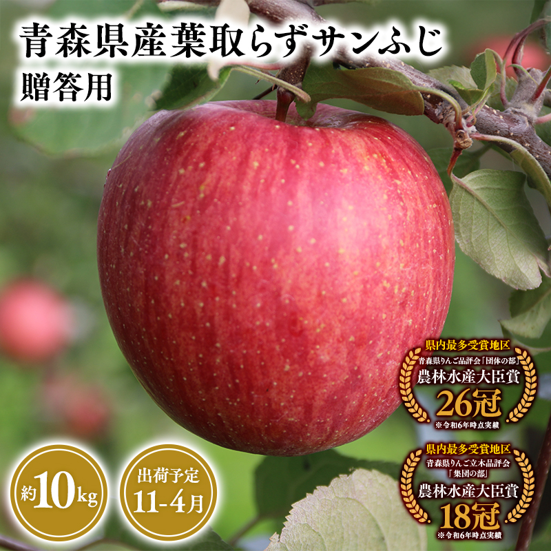 2025年産１１月～４月発送　贈答用葉とらずサンふじ10ｋｇ　【そと川りんご園・１１月・１２月・１月・２月・３月・４月・青森県産・平川市・りんご・葉とらずサンふじ・10ｋｇ・贈答用】
