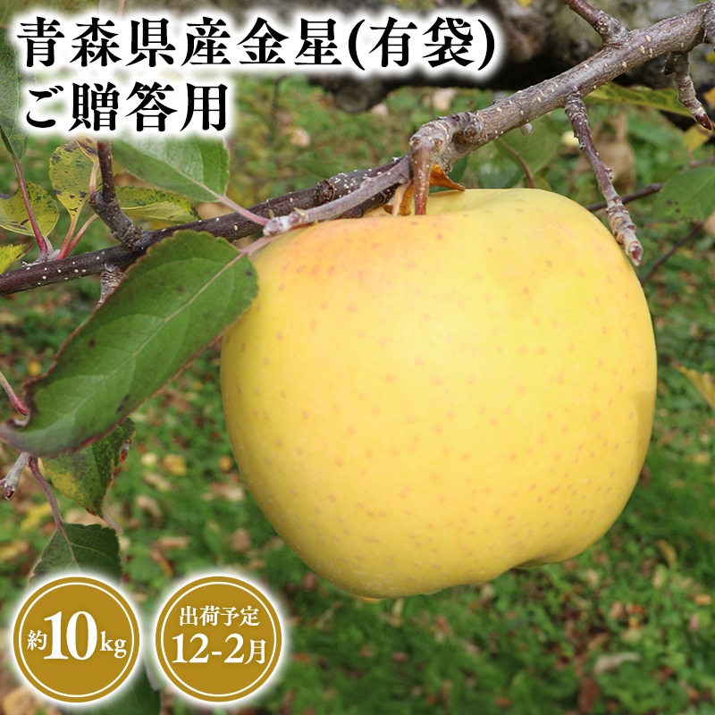 １２月～２月発送　贈答用金星(有袋)10ｋｇ　【そと川りんご園・１１月・１２月・１月・２月・青森県産・平川市・りんご・金星(有袋)・10ｋｇ・贈答用】