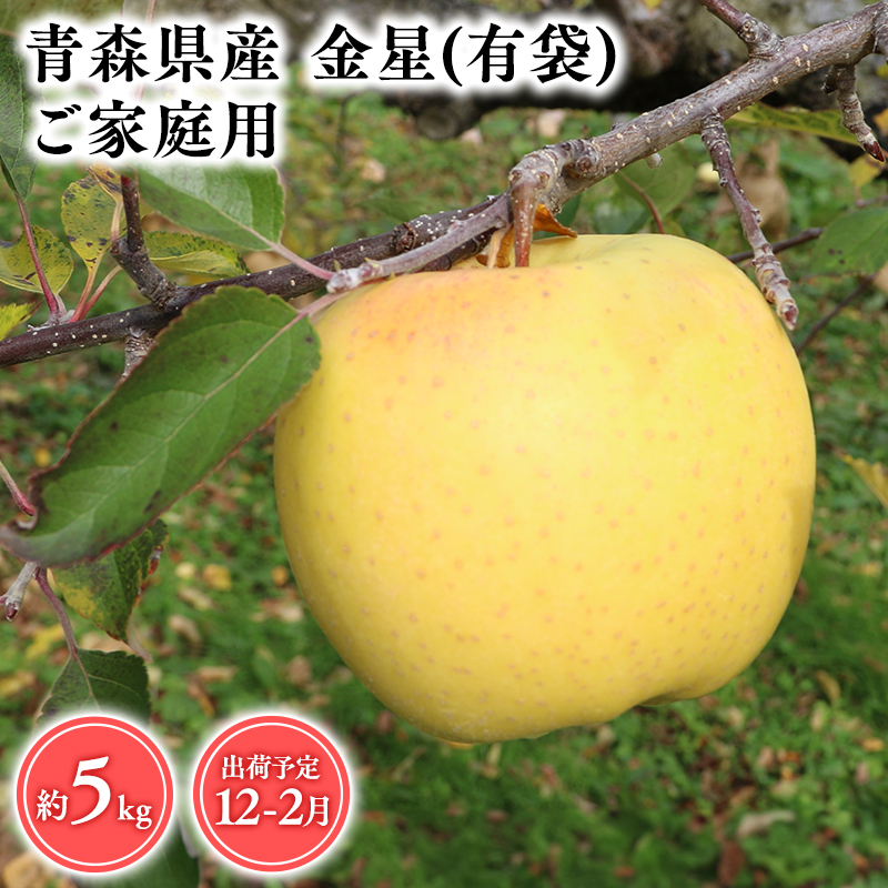 １２月～２月発送　【訳あり】家庭用金星(有袋)5ｋｇ　【そと川りんご園・１１月・１２月・１月・２月・青森県産・平川市・りんご・金星(有袋)・5ｋｇ・訳あり・家庭用】