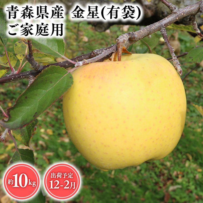 １２月～２月発送　【訳あり】家庭用金星(有袋)10ｋｇ　【そと川りんご園・１１月・１２月・１月・２月・青森県産・平川市・りんご・金星(有袋)・10ｋｇ・訳あり・家庭用】