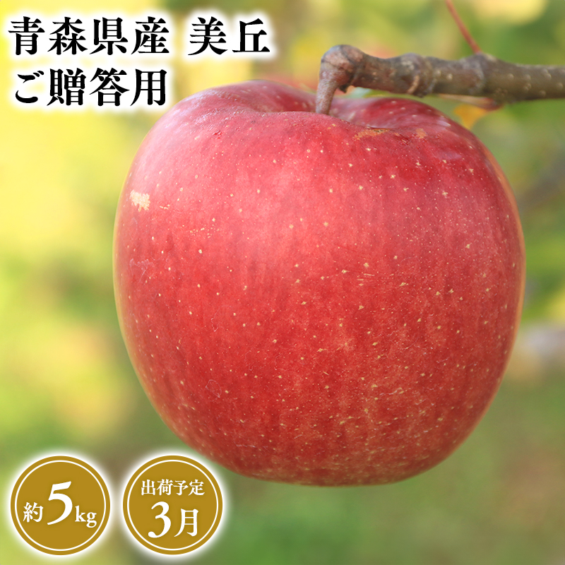 2025年産 ３月発送　贈答用美丘5kg【青森県 平川市 そと川りんご園】３月発送 贈答 青森 青森県産 平川 りんご リンゴ 林檎 くだもの 果物 フルーツ