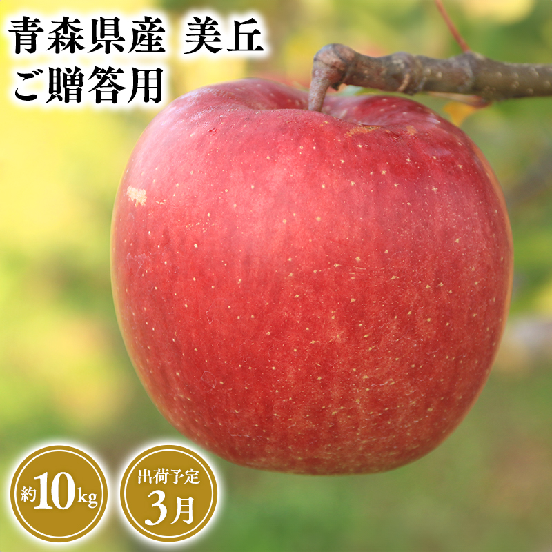 2025年産 ３月発送　贈答用美丘10kg【青森県 平川市 そと川りんご園】３月発送 贈答 青森 青森県産 平川 りんご リンゴ 林檎 くだもの 果物 フルーツ