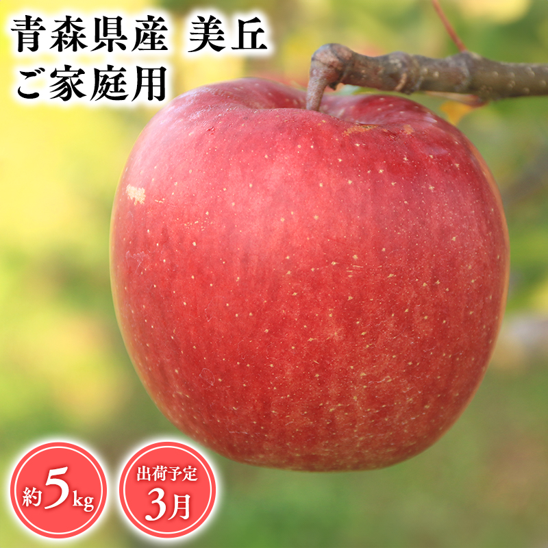 2025年産 ３月発送　【訳あり】家庭用美丘5ｋｇ　【そと川りんご園・３月・青森県産・平川市・りんご・美丘・5ｋｇ・訳あり・家庭用】