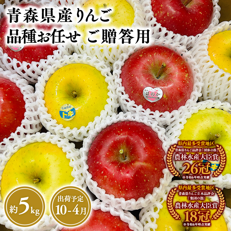2025年産品種お任せ　贈答用　旬のりんご詰め合わせ5㎏