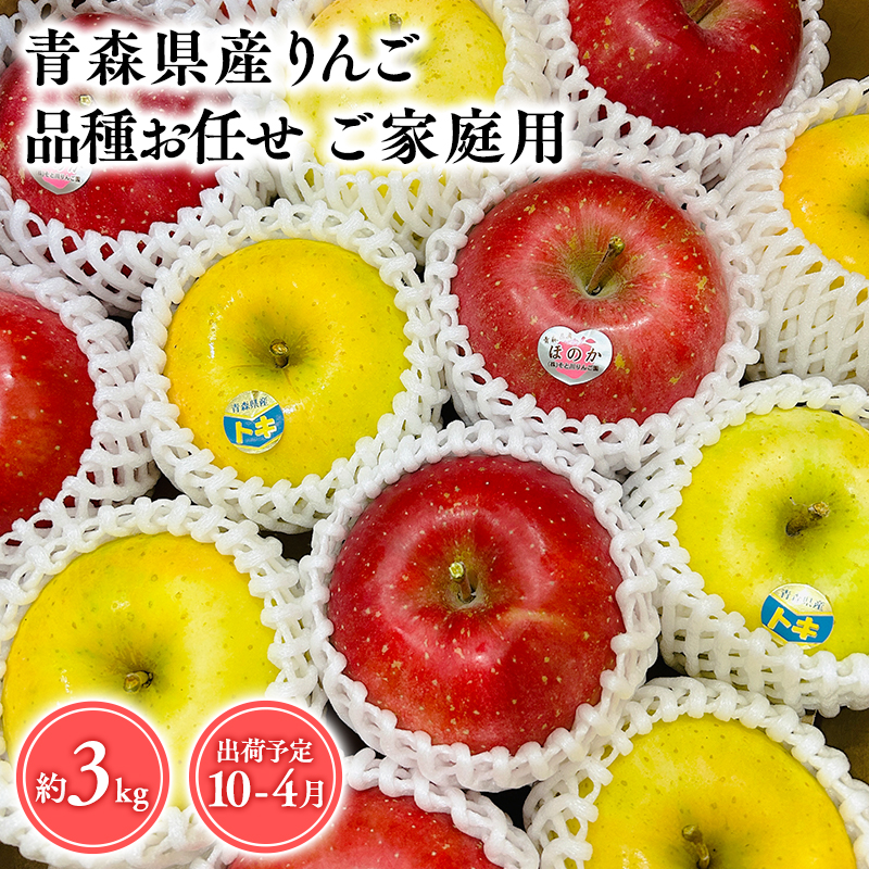 2025年産品種お任せ　【訳あり】家庭用　旬のりんご詰め合わせ3㎏