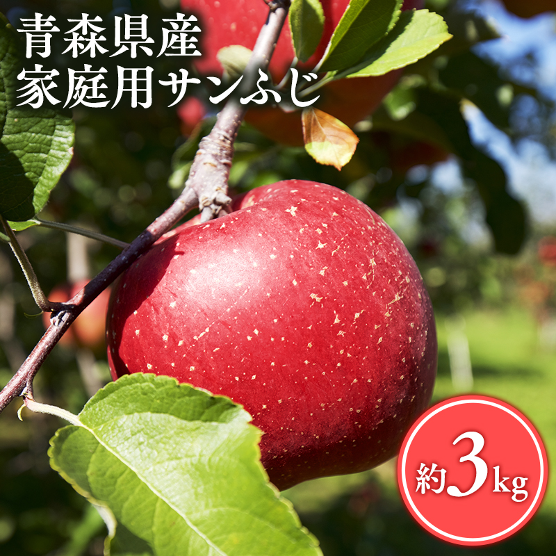 【12月発送】家庭用サンふじ3㎏【丸勝木村商店・青森りんご】
