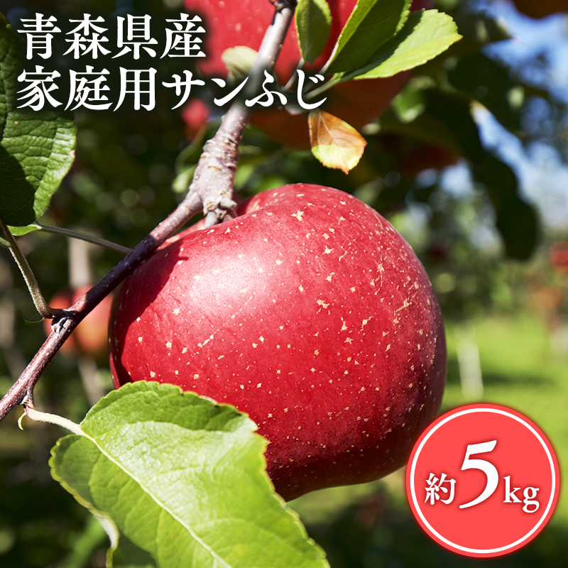  【12月発送】家庭用サンふじ5㎏【丸勝木村商店・青森りんご】