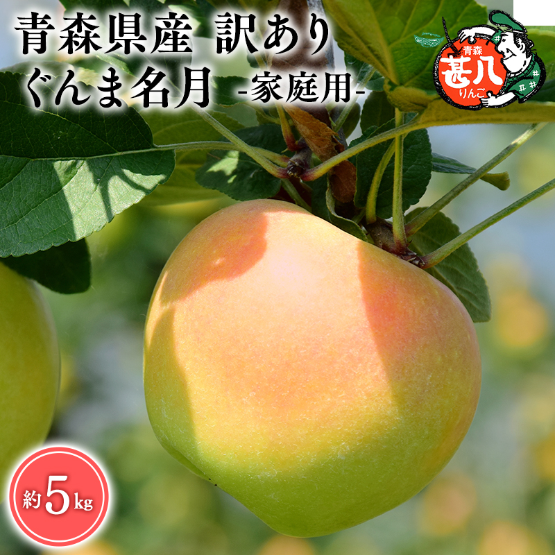 １１月発送　訳あり　家庭用　甚八りんごぐんま名月5kg　【マルジンサンアップル　11月　青森県産　平川市　りんご　ぐんま名月　5kg　訳あり　家庭用】