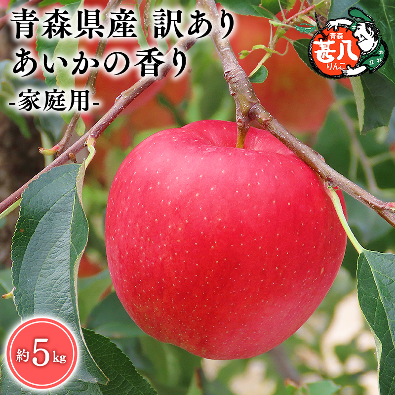 ≪選べる配送月≫１１～１２月発送　訳あり　家庭用　甚八りんごあいかの香り5kg　【マルジンサンアップル　11月　12月　青森県産　平川市　りんご　あいかの香り　5kg　訳あり　家庭用】 11月発送 5kg