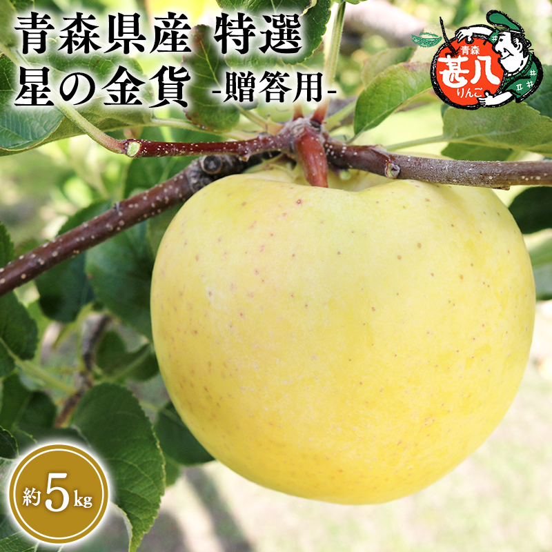 １１月発送　特選　甚八りんご星の金貨5kg　【マルジンサンアップル　11月　青森県産　平川市　りんご　星の金貨　5kg　特選　贈答用】