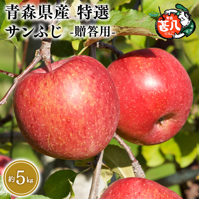 ≪選べる配送月≫３～４月発送　特選　甚八りんごサンふじ5kg　【マルジンサンアップル　3月　４月　青森県産　平川市　りんご　サンふじ　5kg　特選　贈答用】 3月発送 5kg