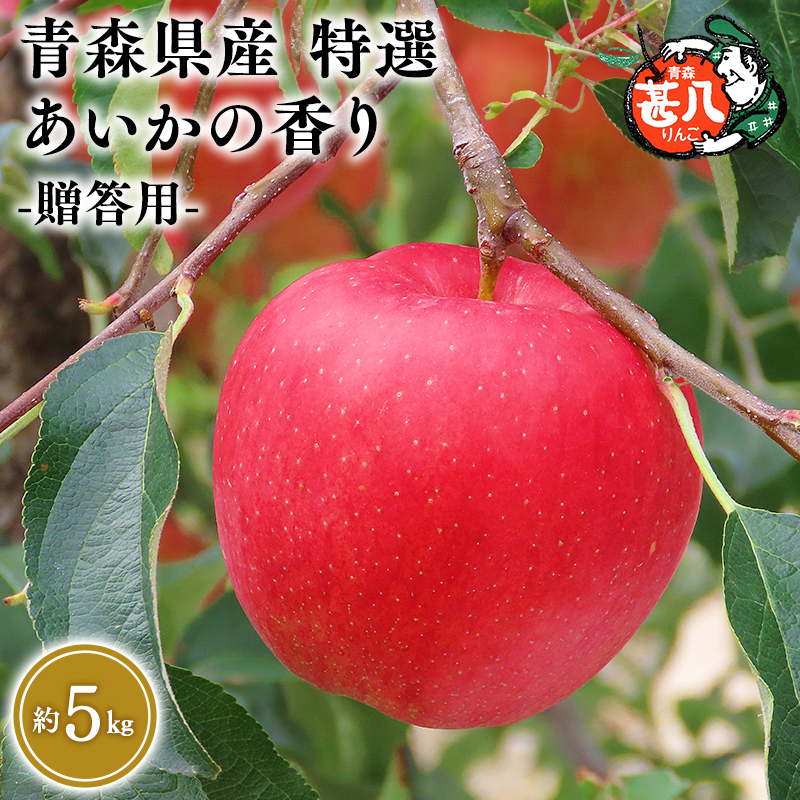 ≪選べる配送月≫ １１～１２月発送　特選　甚八りんごあいかの香り５kg　【マルジンサンアップル　11月　12月　青森県産　平川市　りんご　あいかの香り　5kg　特選　贈答用】 11月発送 5kg