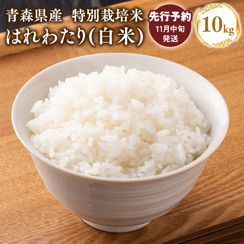 【令和7年産 先行予約   配送時期：2025年11月中旬～】　特別栽培米 はれわたり白米10kg(5㎏×2袋)