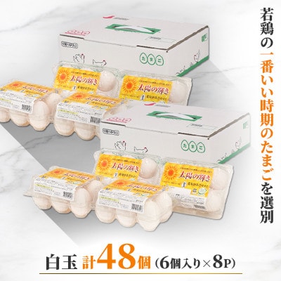 蓬田村産のたまごセット「太陽の輝き」白玉　48個(6個入り×8P)