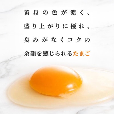 蓬田村産のたまごセット「太陽の輝き」白玉　48個(6個入り×8P)