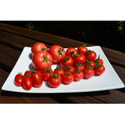 とまとけちゃっぷ5本セット