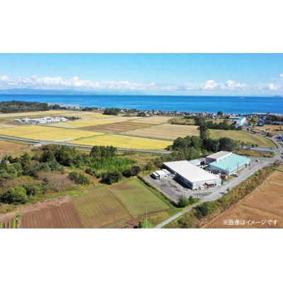 【高島屋選定品】高島屋 オーダースーツ クーポン (10,000円分)