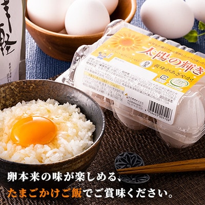 蓬田村産のたまごセット「太陽の輝き」白玉　48個(6個入り×8P)