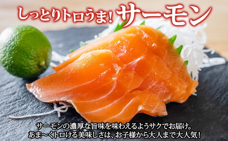 青森サーモン＆天然 本マグロ 赤身 大トロ セット 計750g 国産 青森 サーモン 本鮪 まぐろ マグロ クロマグロ 鮪 刺身 丼ぶり 海鮮 魚介 贅沢 お取り寄せ 詰め合わせ グルメ 産地直送 送料無料 冷凍 あおもり海山 青森県 深浦町