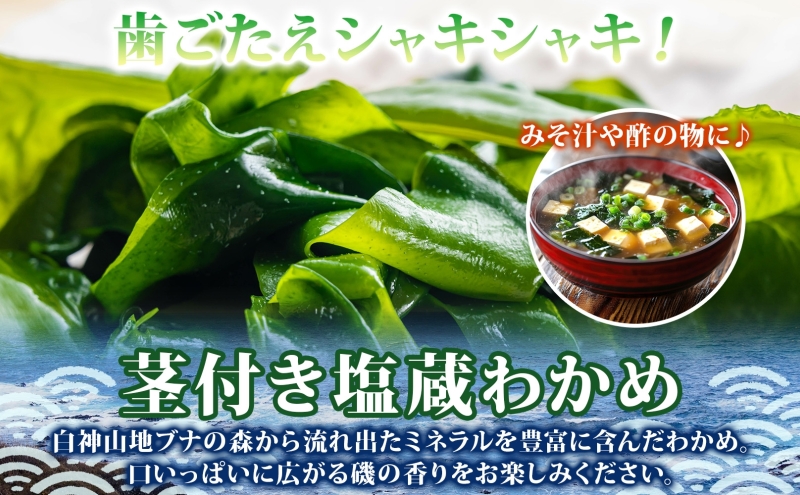 つるつる わかめ 塩わかめ セット 小分け 麺つゆ 青じそ 塩蔵わかめ 茎付 ヘルシー 海藻 わかめ麺 ワカメ 麺類 つるっと 冷蔵 海産物 ふかうら食品 深浦町 青森県