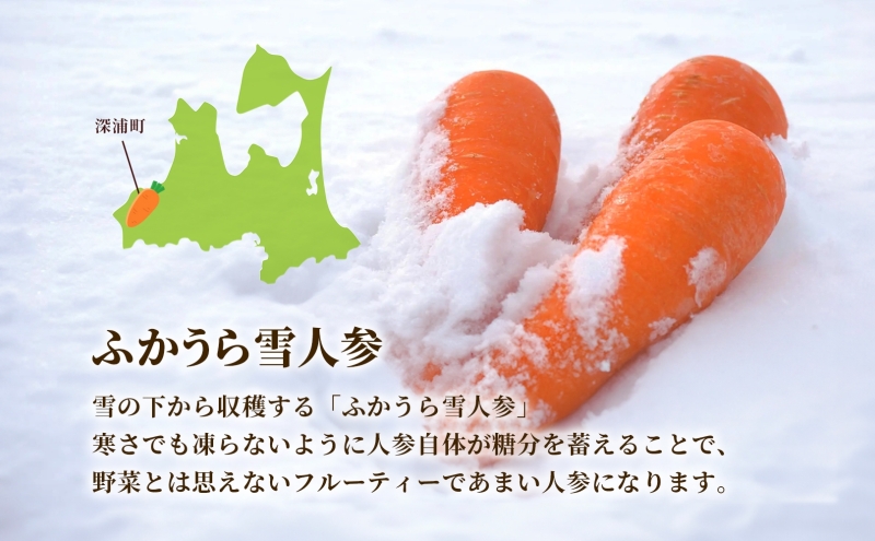 雪人参 ビーフシチュー 220g×4個 ビーフ シチュー ふかうら雪人参 にんじん 人参 ニンジン 牛肉 お取り寄せ 贈答用 ギフト 洋食 惣菜 加工品 レトルト 特産品 コンクール 知事賞 送料無料 常温 食べ物屋セイリング 青森県 深浦町