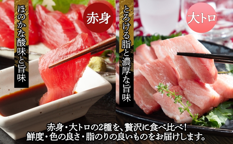 青森サーモン＆天然 本マグロ 赤身 大トロ セット 計750g 国産 青森 サーモン 本鮪 まぐろ マグロ クロマグロ 鮪 刺身 丼ぶり 海鮮 魚介 贅沢 お取り寄せ 詰め合わせ グルメ 産地直送 送料無料 冷凍 あおもり海山 青森県 深浦町