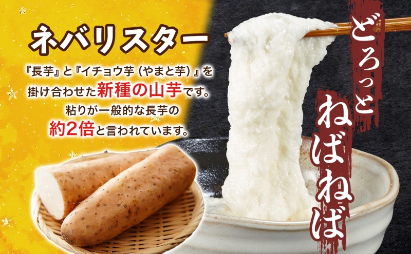 【ふるさと納税】青森県深浦町産 ネバリスター 約5kg 土つき 長芋 根菜 野菜 とろろ 粘り ねばねば 加熱調理 ホクホク 味が濃い 甘み 産地直送 青森県 深浦町 お届け：2025年12月中旬～2026年2月下旬