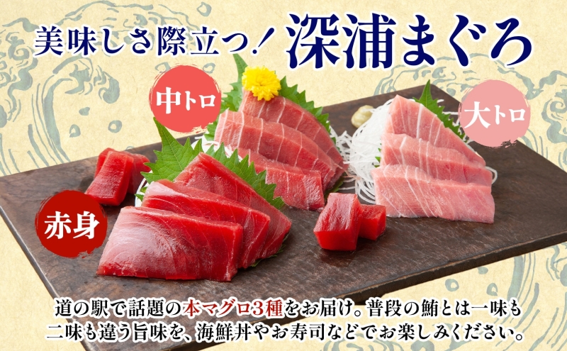 本マグロ 3種 赤身 中トロ 大トロ 各1柵 国産 本鮪 まぐろ マグロ クロマグロ 鮪 刺身 丼ぶり 寿司 海鮮 魚介 贅沢 お取り寄せ 詰め合わせ グルメ 産地直送 送料無料 冷凍 道の駅 青森県 深浦町