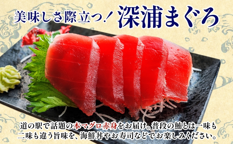 本マグロ 赤身 1柵 国産 本鮪 まぐろ マグロ クロマグロ 鮪 刺身 丼ぶり 寿司 海鮮 魚介 贅沢 お取り寄せ 詰め合わせ グルメ 産地直送 送料無料 冷凍 道の駅 青森県 深浦町