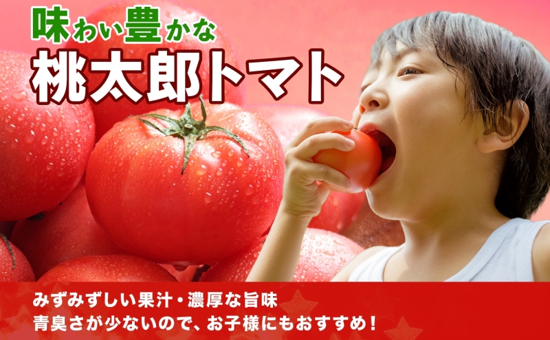 青森県産 桃太郎 トマト 約4kg 20玉前後 7月中旬～11月中旬頃お届け 大玉 tomato 新鮮 野菜 旬 甘い 完熟 ジュース 産地直送 農家直送 お取り寄せ 常温 永谷農園 青森県 深浦町
