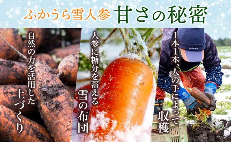 ふかうら雪人参2.5kg（規格外品）雪人参 人参 にんじん ニンジン 野菜 やさい 青森県 深浦町