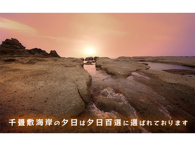 【千畳敷センター】青森県深浦産・無添加だし粉 25g／30g 8本セット【8種類×1本ずつ】